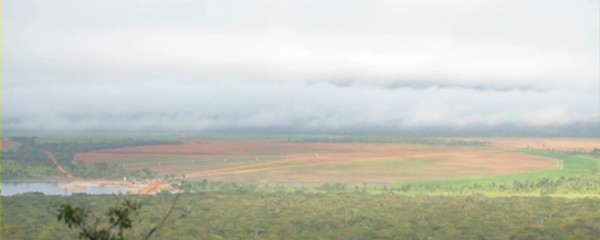 Promo: Nuviagro quer ser fértil na agricultura angolana