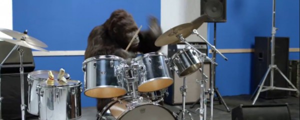 Aldi lança paródia do anúncio ‘gorilla’ da Cadbury