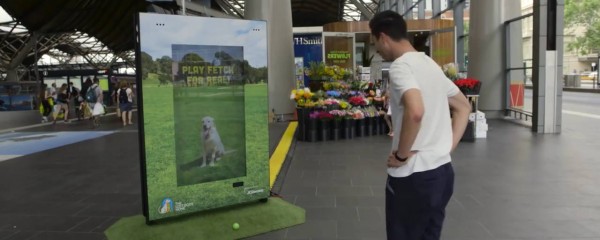 Cão interativo chama a atenção na Austrália