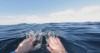 Uma experiência assustadora em alto mar