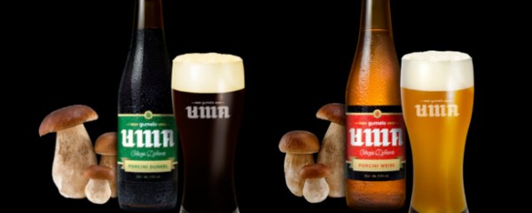 Já pensou em provar UMA cerveja de cogumelos?