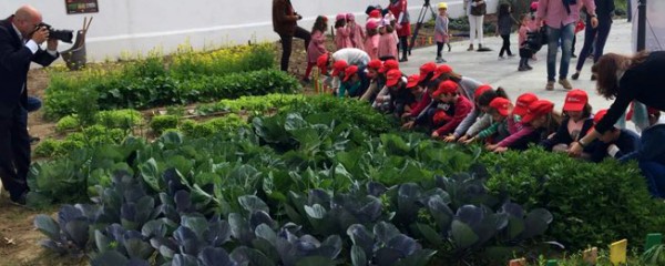 “Hortas na Escola… Legumes no Prato”