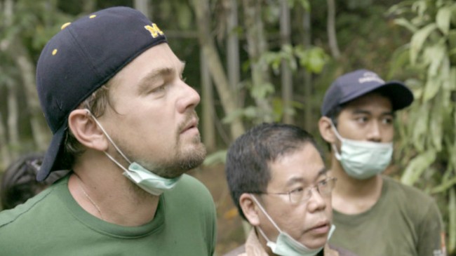 National Geographic disponibiliza documentário de DiCaprio online