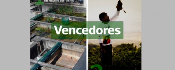 CTT financiam projetos ambientais escolhidos pelos portugueses