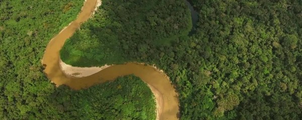 A Amazónia pode estar mais perto do que pensa
