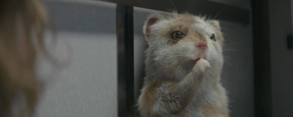 A KIA tem um novo hamster