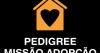 Missão Adopção da Pedigree lança “O Focinho do Mês”