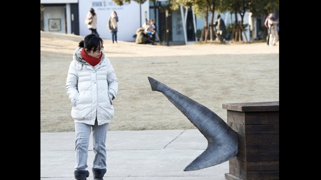 Invasão de tubarões em Xangai