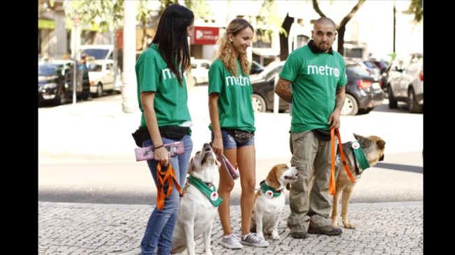 Cães treinados distribuem jornal Metro