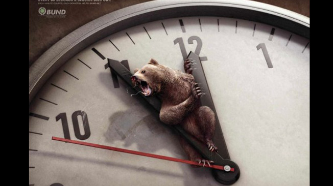 Campanha retrata a realidade de alguns animais