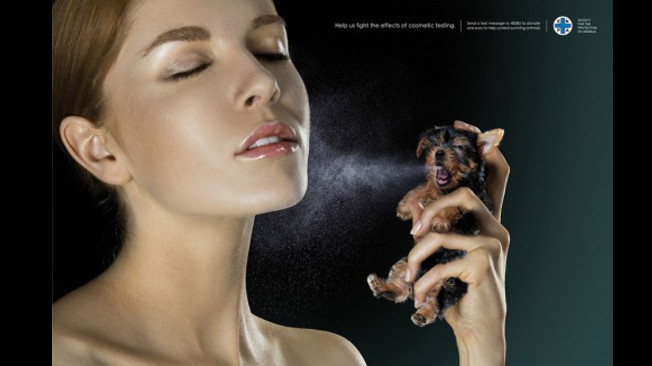 Campanha retrata a realidade de alguns animais