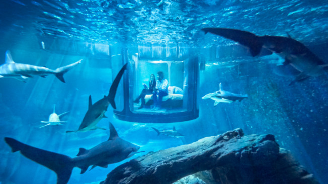 Airbnb convida-o a dormir com os tubarões