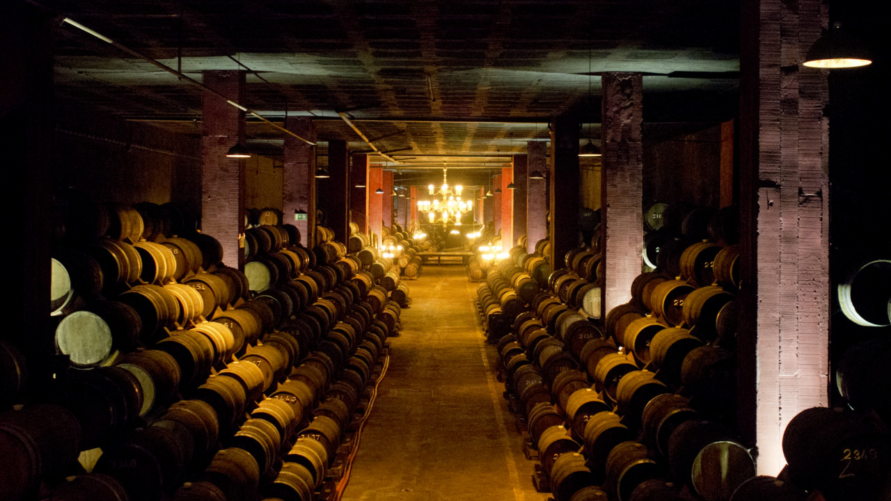 “O turismo associado ao vinho é decisivo no futuro da região Centro”